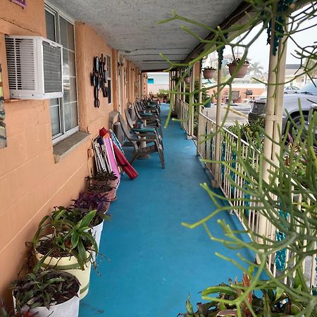 Michaels Siesta Motel St. Petersburg Exteriér fotografie