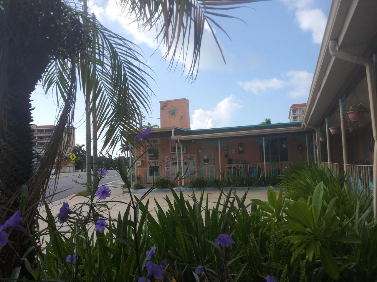 Michaels Siesta Motel St. Petersburg Exteriér fotografie